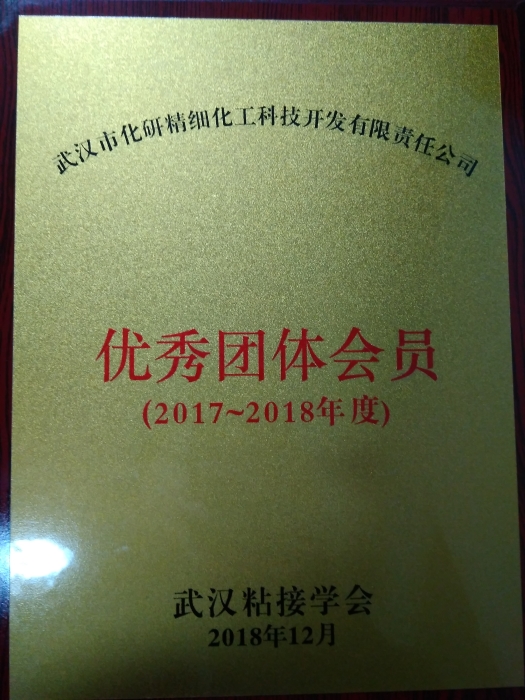 武漢粘接學(xué)會“優(yōu)秀團(tuán)體會員”