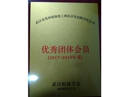 武漢粘接學會“優秀團體會員”